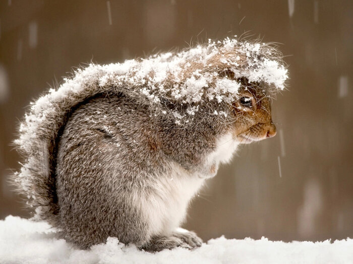 نشنال جئوگرافی چگونه از منظره برفی عکاسی میکند؟