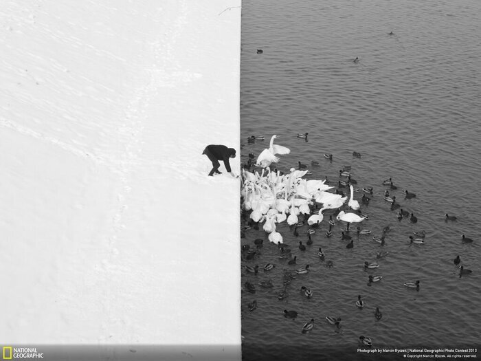 نشنال جئوگرافی چگونه از منظره برفی عکاسی میکند؟