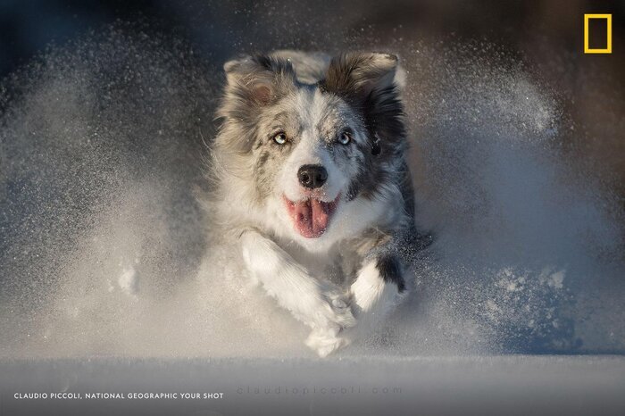 نشنال جئوگرافی چگونه از منظره برفی عکاسی میکند؟