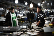 بازار ماهی فروشان به روایت تصویر