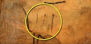کشف شگفت‌انگیز اولین نوشته‌ها روی دیوار غارهای باستانی | تقویم زاد و ولد ماموت‌ها و اسب‌های وحشی در عصر یخبندان