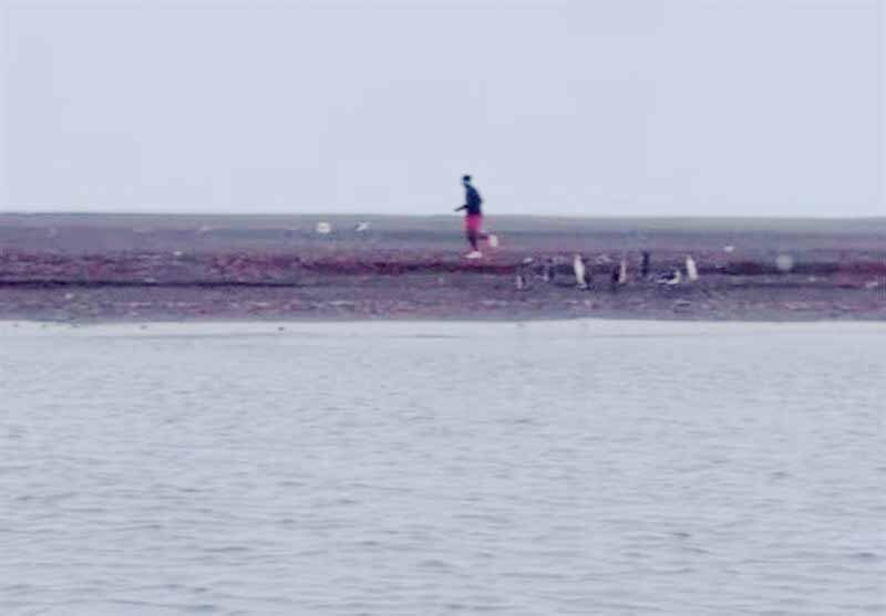 عکس | تمرین ستاره فرمول یک با پنگوئنها | جشن تولد عجیب در قطب جنوب!