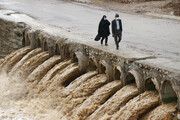 ببینید | بارش بی وقفه در شیراز | خرم رود خروشان شد
