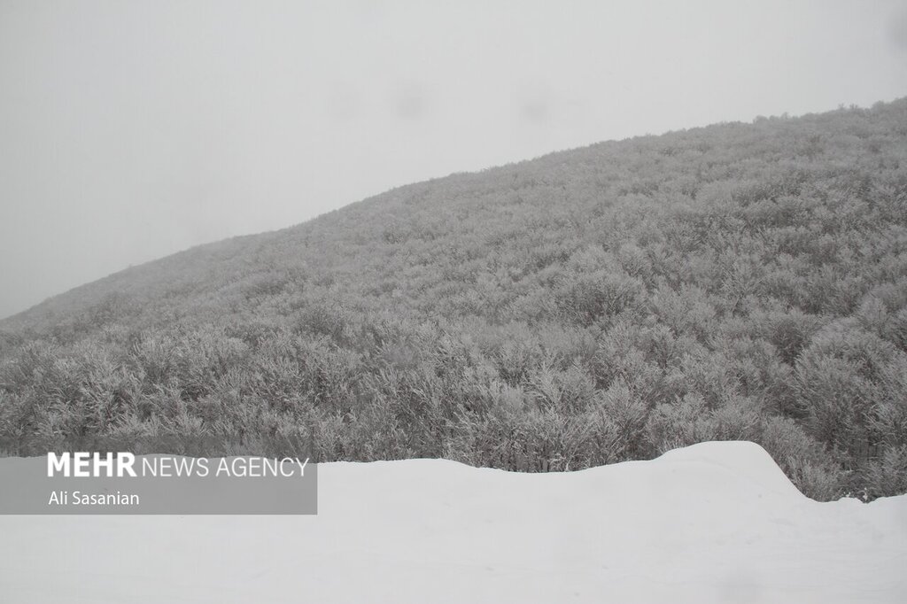 تصاویر ا زیباترین جاده ایران سفید پوش شد ؛ بارش برف در گردنه حیران از ۶۰ سانتی متر گذشت