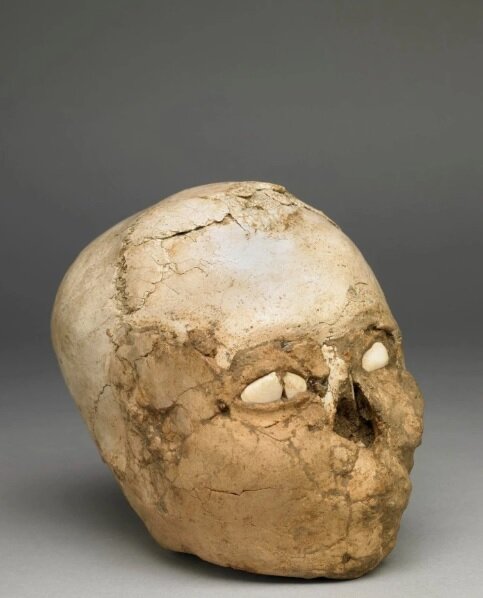عکس | صورت بازسازی شده مرد ۹ هزارساله‌ با چشم‌های صدفی | جمجمه مرموز بالاخره شناسایی شد