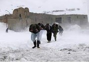 ببینید | پایکوبی جوانان هرات همزمان با بارش شدید برف