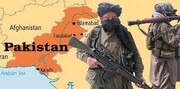 ببینید | مخالفت دولت پاکستان با گفتگو درباره آتش بس با تحریک طالبان