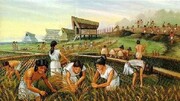 خوراکی‌هایی که در زمان باستان رواج داشتند | علت عجیب آدم‌خواری مردم گینه نو! | قهوه و لوبیا اولین بار در این نقاط کشت شدند