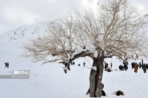 تصاوير | بارش برف و تفریحات زمستانی در یاسوج