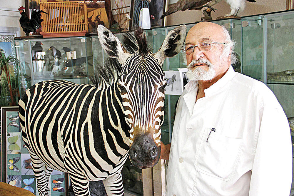 «سمند» ترکمن در دارآباد!