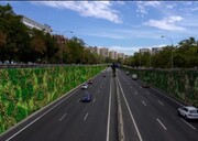 ابتکار جالب شهر اروپایی برای افزایش فضای سبز شهری | دیوارهای بتنی باغ عمودی می‌شوند