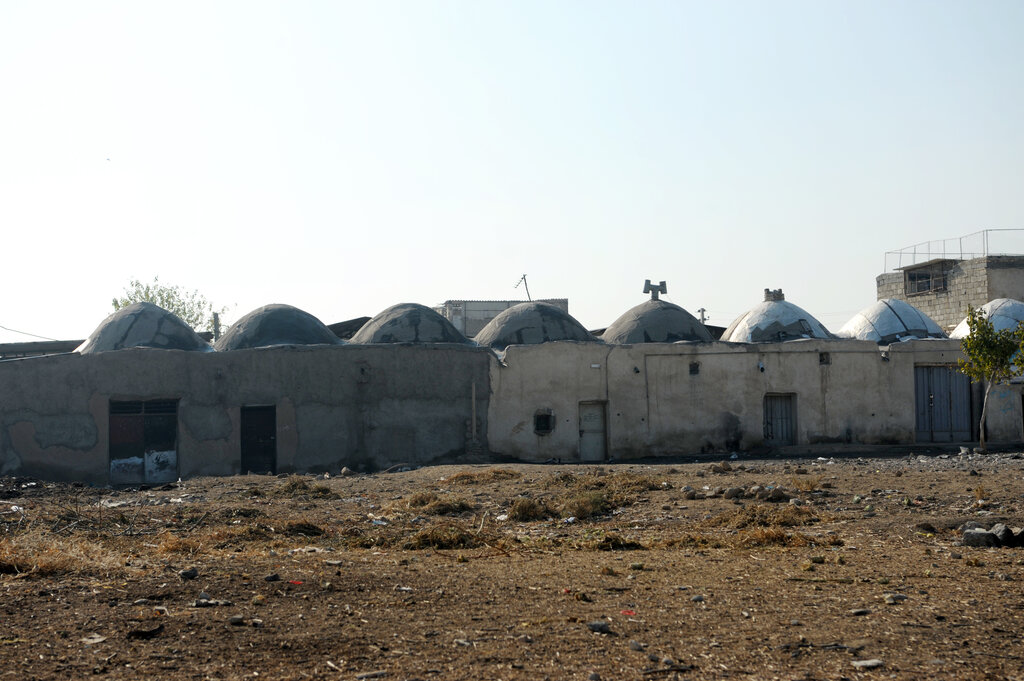 داستان جدا شدن علیمون و علایین؛ قصه دو برادر