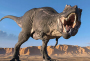عامل اصلی مرگ دایناسورها مشخص شد | کوچک‌تر از آنچه که تصور می‌کردید!