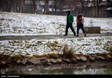 بارش برف در کرمانشاه و ابهر