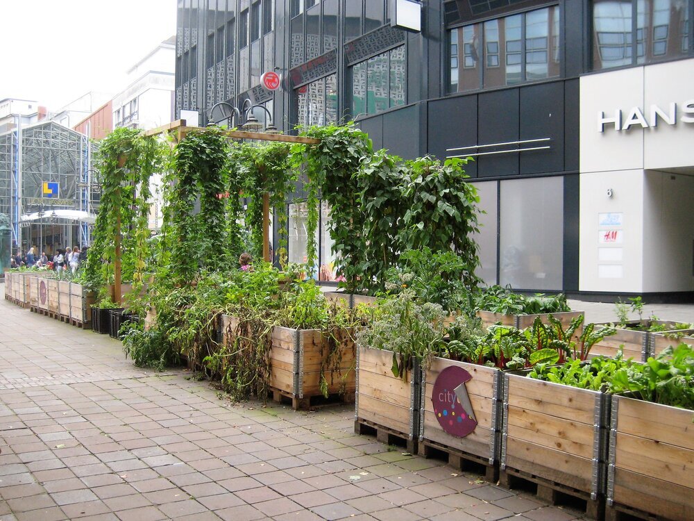 برنامههای منحصربهفرد ۵ شهر جهان برای افزایش فضاهای سبز | از دل پایتخت این کشور جنگلی سبز در میآید