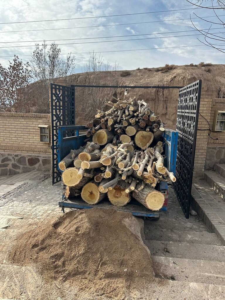 قطع درختان زنده در شاهرود