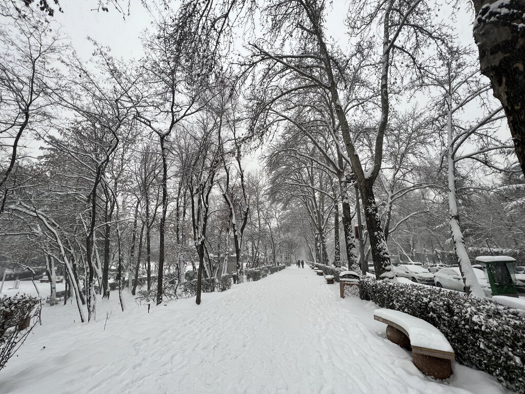 بارش برف در تهران / منا عادل