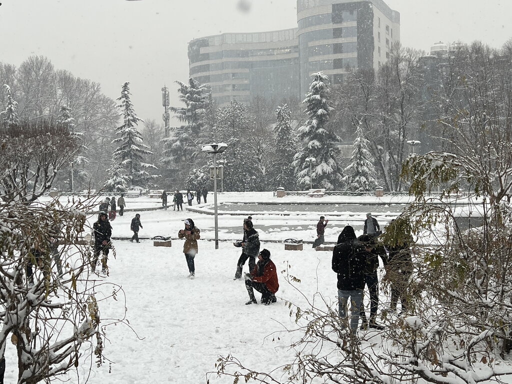 بارش برف در تهران / منا عادل