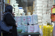 سناریوهای قیمت برنج ایرانی | کاهش ۳۰ درصدی قیمت برنج از ابتدای امسال