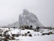 ببینید | تصاویر دیدنی برف روی عقاب یزد