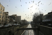 پیش بینی هوای تهران برای هفته آینده | خداحافظی با سرمای زمستان؟