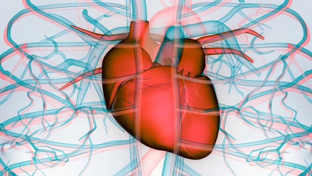 علائم ظاهری بیماری قلبی ؛ این علامت‌های رایج نشانه ناراحتی قلبی در جوانان است
