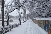 بارش برف در تهران از کی شروع می‌شود؟ | هشدار وقوع بهمن در ارتفاعات