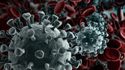 درباره زیرسویه جدید XBB1.5 کرونای اُمیکرون، واگیرترین ویروس کرونا تاکنون، چه می‌دانیم؟