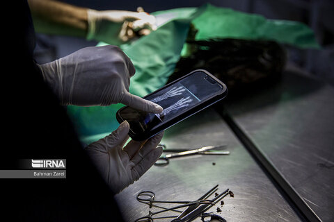 بیمارستان حیوانات