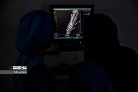 بیمارستان حیوانات