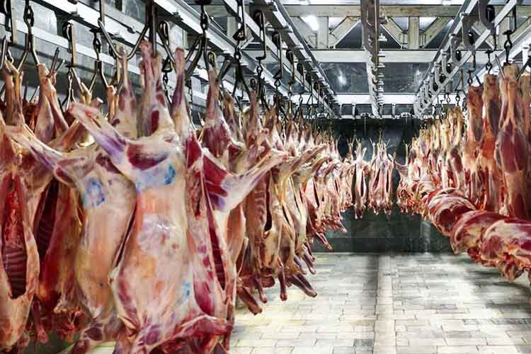 قیمت دام کاهشی شد |  قیمت جدید گوشت‌های منجمد و گرم وارداتی