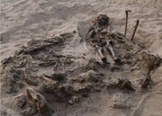 عکس | کشف قبر مشترک یک کودک با ۱۴۲ سگ