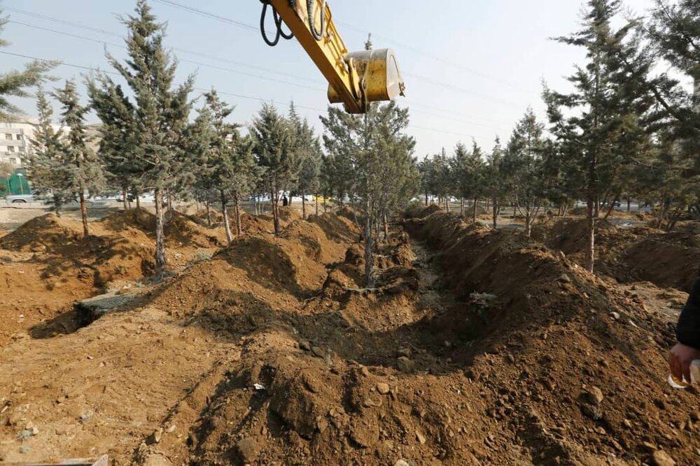 تصاویر| شکایت یک شهروند جواب داد؛ کوچ اجباری ۱۰۶ درخت از یک پارک در جنت آباد