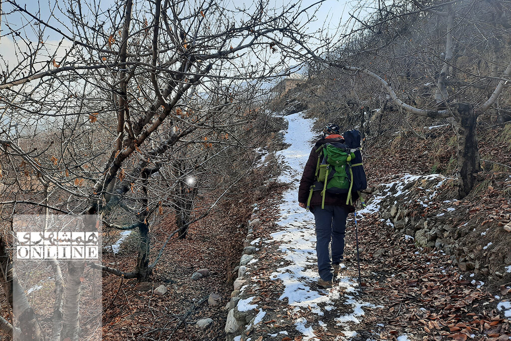 ببینید | قندیلهایی که قند دلتان را آب میکنند! | آبشار یخی باغگل ؛ پیشنهاد آخر هفتهای جذاب برای تهرانیها
