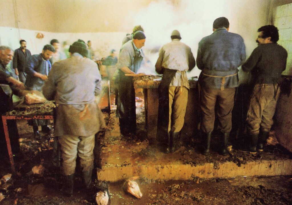 کسی هست این محله قدیمی تهران را نشناسد؟ | آب شرب لولهکشی با ۱۰۰ تومان به اینجا آمد