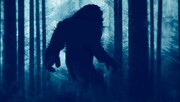 یک واقعیت جالب درباره هیولای مشهور به پاگنده | سایه ترسناک جنگل‌های تاریک چیست؟