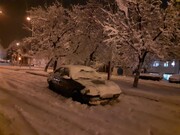 ببینید | بارش شدید برف در پاوه کرمانشاه ؛ هم‌اکنون
