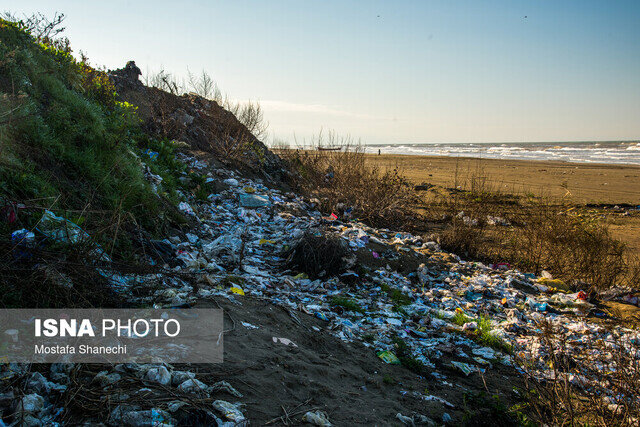 تصاویر | این ساحل دریای خزر بوی تعفن می دهد | شیرآبه زباله ها وارد آب و شالیزار می شود | سایت زباله ۲۰ متر تا دریا