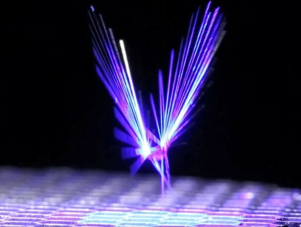 عکس | جایگزین زنبورها برای نجات بشریت | این حشرات جالب روبات هستند!