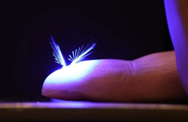 عکس | جایگزین زنبورها برای نجات بشریت | این حشرات جالب روبات هستند!