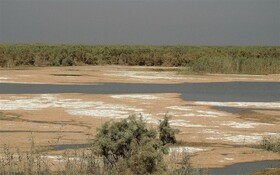 دوسوم تالاب‌های کشور کانون گرد و غبار شده‌اند | ۶ تالاب در معرض خطر شدید انقراض | نقش تونل زاب در احیای دریاچه ارومیه