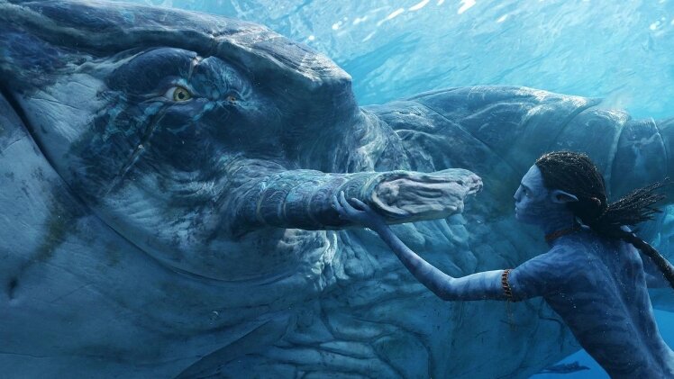 سینمای ۲۰۲۲ | ۷ قاب از فیلم آواتار: راه آب، ساخته جیمز کامرون