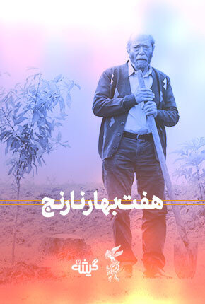  روایت عاشقانه ای با حضور علی نصیریان| فامیلی‌ترین فیلم جشنواره فجر امروز اکران می‌شود