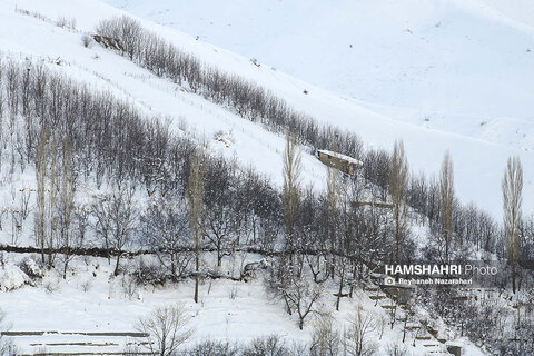 بارش برف در ارتفاعات شمیران و روستای آهار