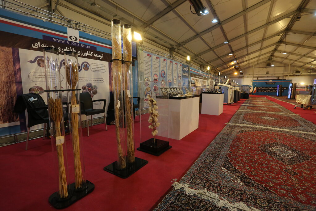 تصاویر | روایتی از دستاوردهای هستهای؛ از تولید برق تا رادیوداروهایی برای درمان سرطان | اهمیت ساخت نیروگاه ؛ انرژی هستهای چقدر برق تولید میکند؟