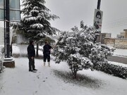 برف روبی معابر و درختان آغاز شد | ۲۳ هزار نیروی خدمات شهری مشغول پاکسازی تهران هستند