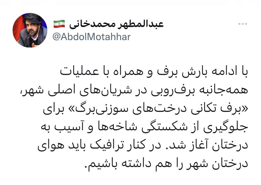 سخنگوی شهرداری تهران: باید هوای درختان را در برف شدید داشته باشیم