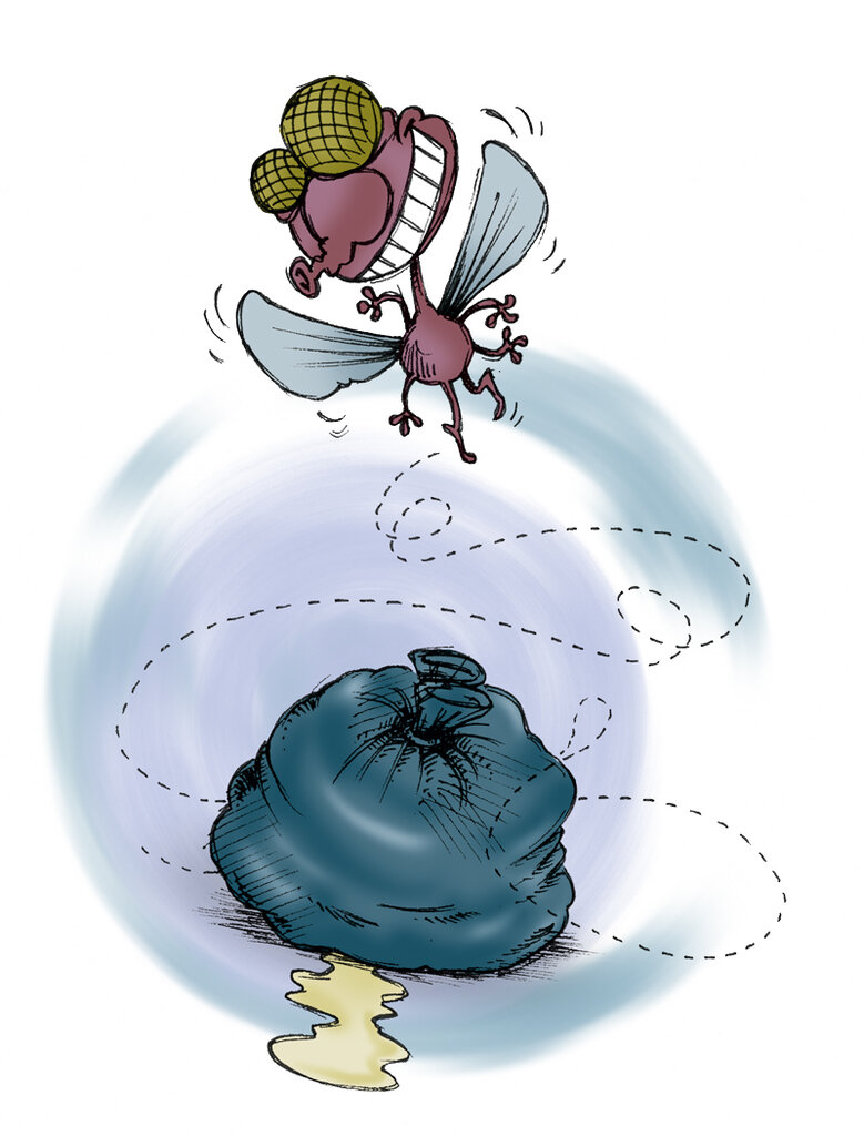 هفت صحنه از زندگی در محله | رعایت نکن، آشغال بریز!