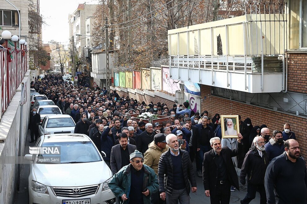 پیرمرد برکت محله بود | ما را شاخه نباتی دادند