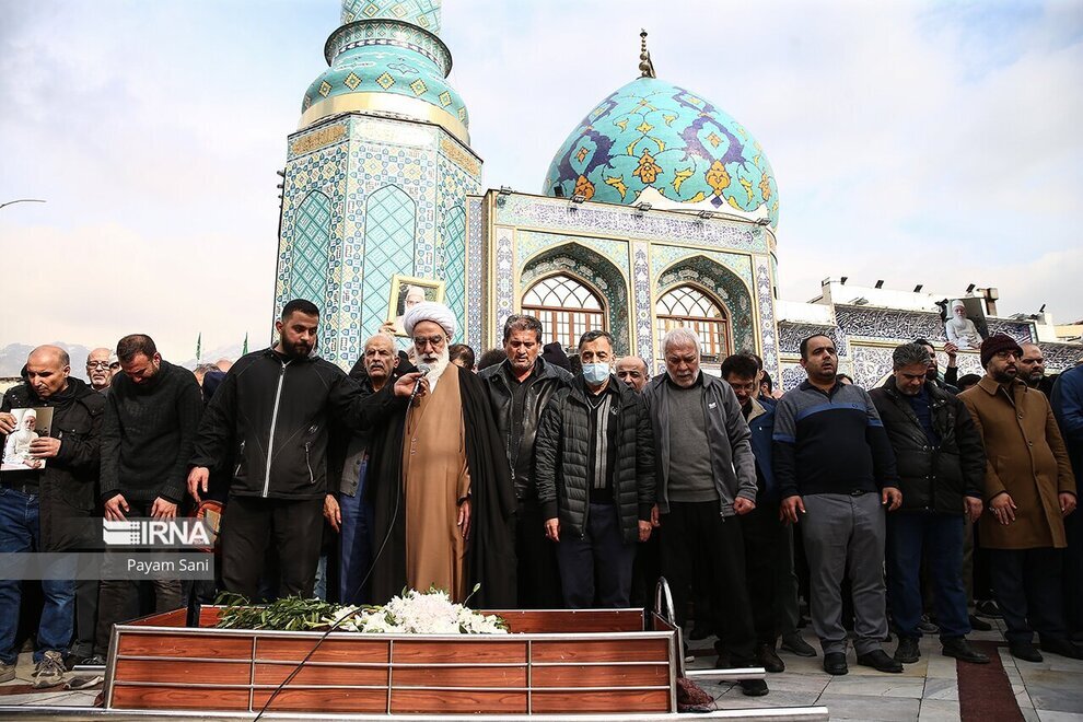 پیرمرد برکت محله بود | ما را شاخه نباتی دادند